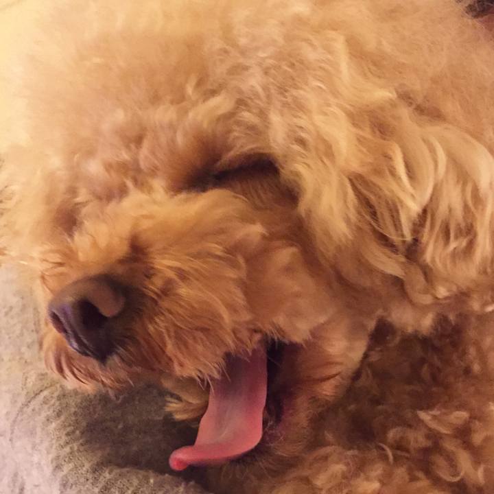 E9347ce9 e827 4ee3 b847 cd6299c16ce6