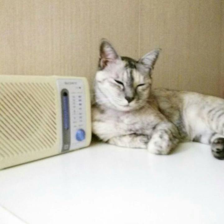 E9347f4c 1bde 4f41 8a2a deda615770ff