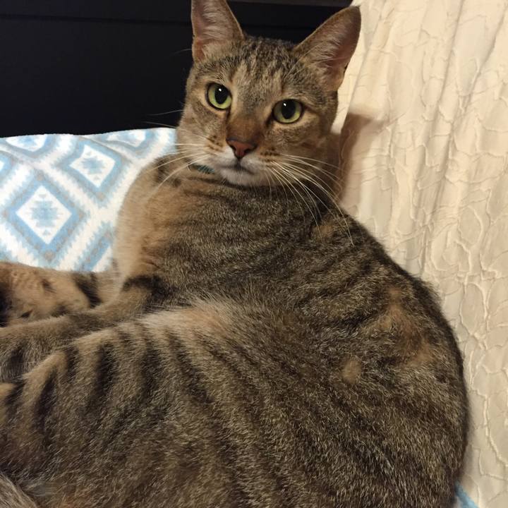 E934e048 74ef 472b 948d 0f6c01ad5aff