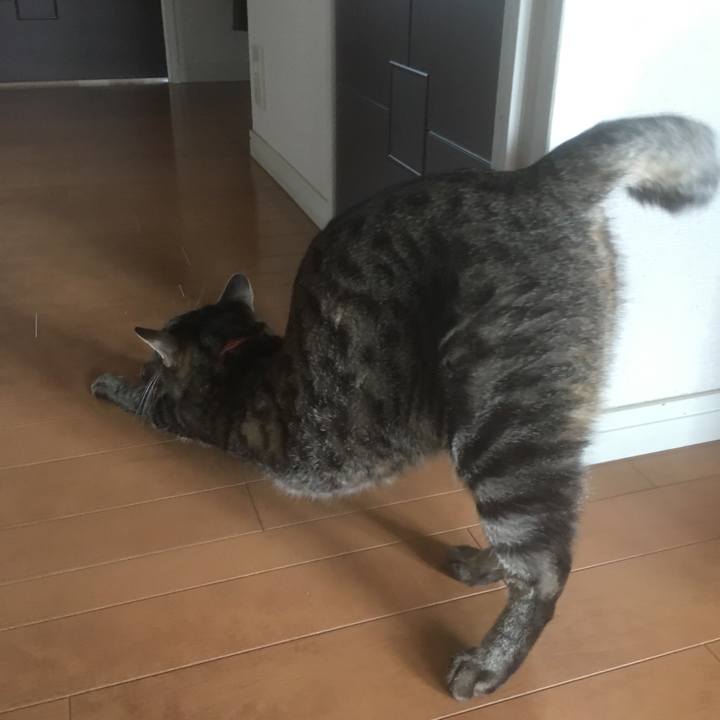 E93527e4 3b04 4e0a 8f61 944a8bfe9663