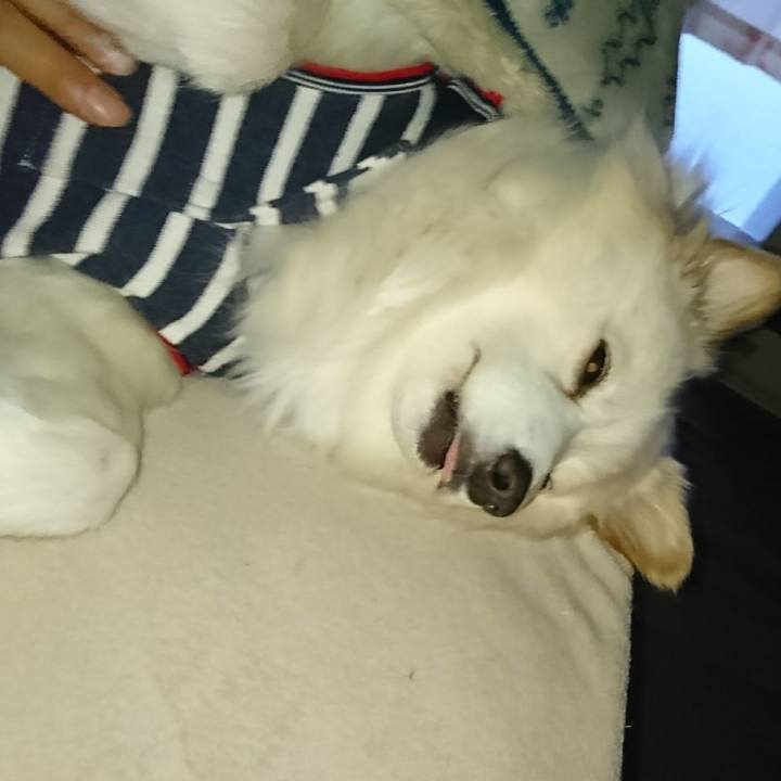 E9358d52 eeee 4fbf b58f 11a4040c4460