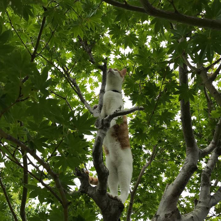 E935976c c925 4128 9a43 77ca3a8425f1