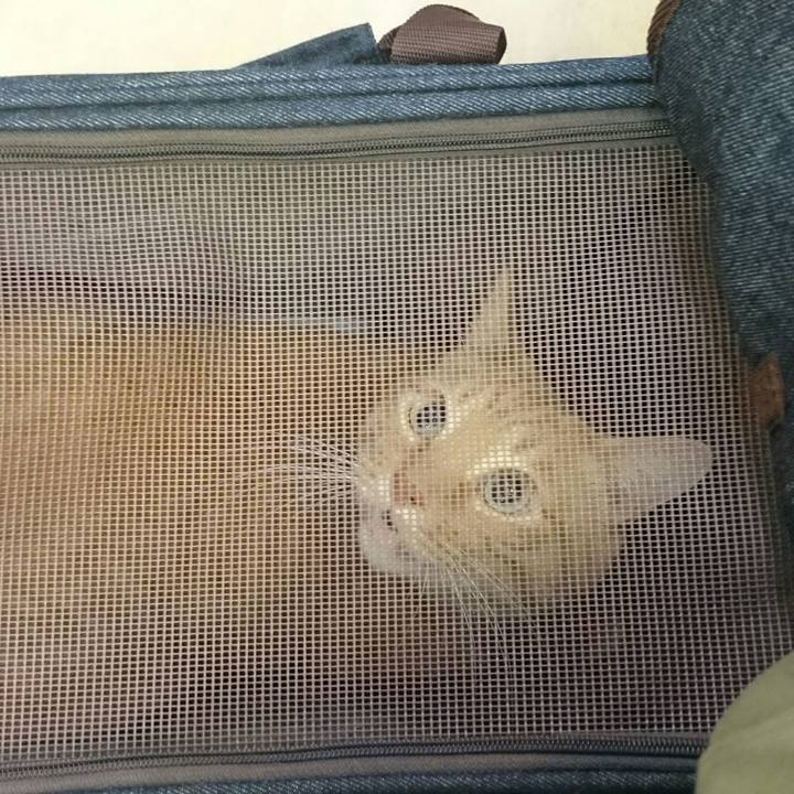 E935d413 e880 42f9 bbf9 fdf41973a812