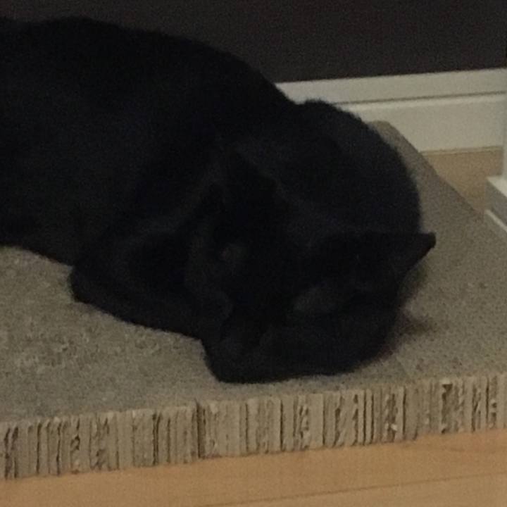 E935e244 3941 4912 b5c6 22d97f3b415d