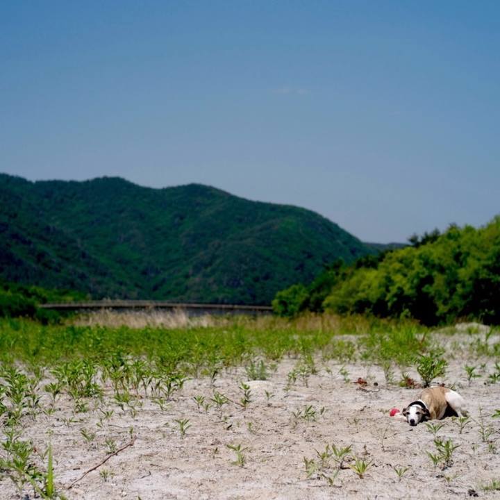 E9364a6b 8fd8 48dc ac21 9a7af75ce84a