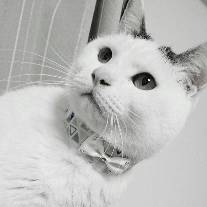 E93656b7 a6e1 4e65 8725 5223dd72c7ec