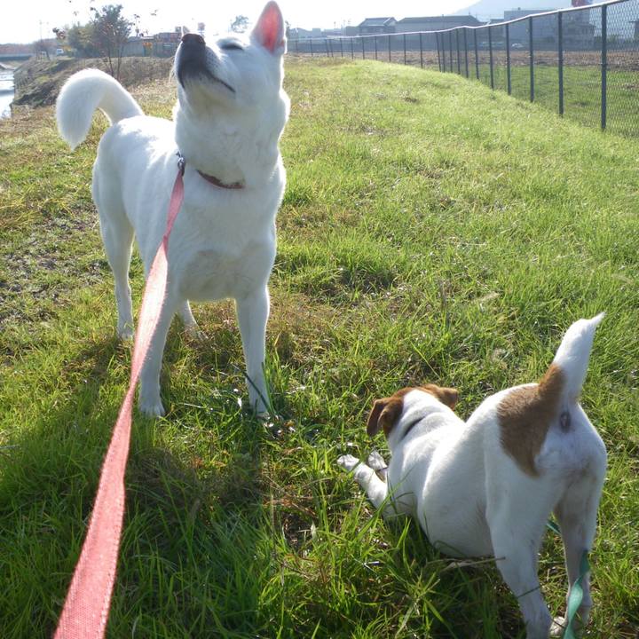 E9365b58 1bfa 40fe bcbc 9920964183bc