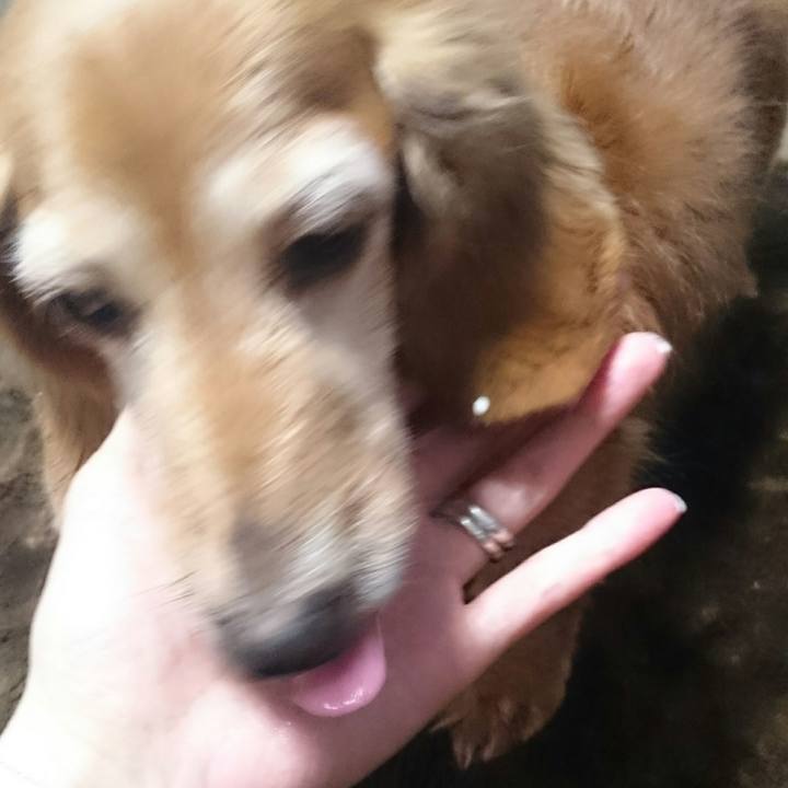 E936fff2 85c6 4e96 a83a 117d52b38e74