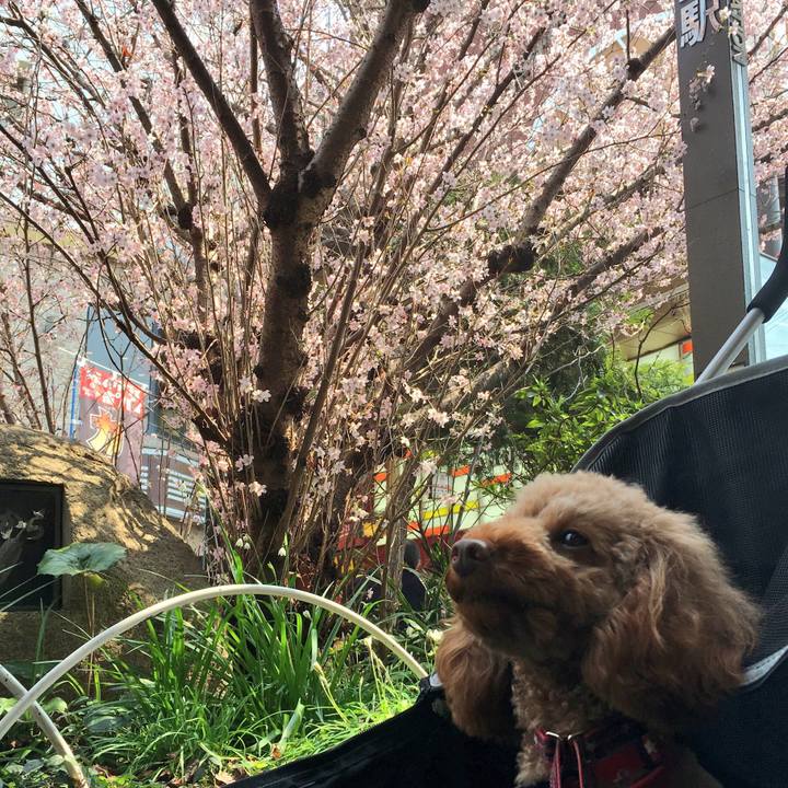 E9370264 b680 4abf 9bab f7024fbc824e