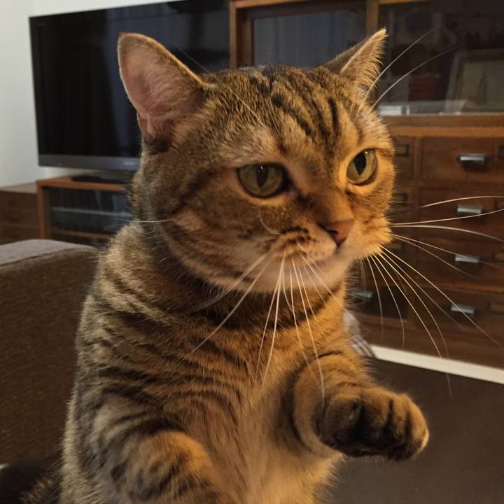 E93707de 68ba 43d5 b329 3c4ebe1edec2