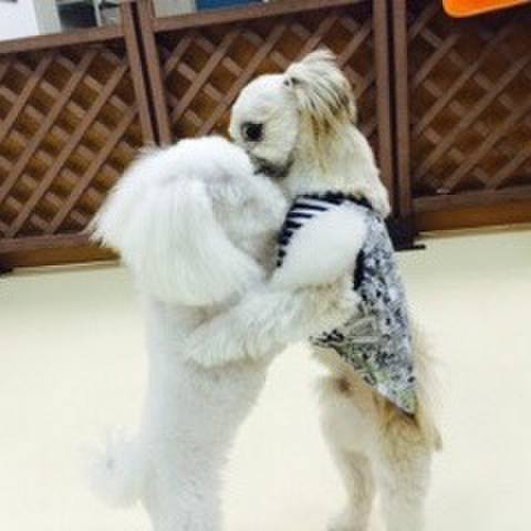 E93897bf ca78 4a0a 8312 290443e44488