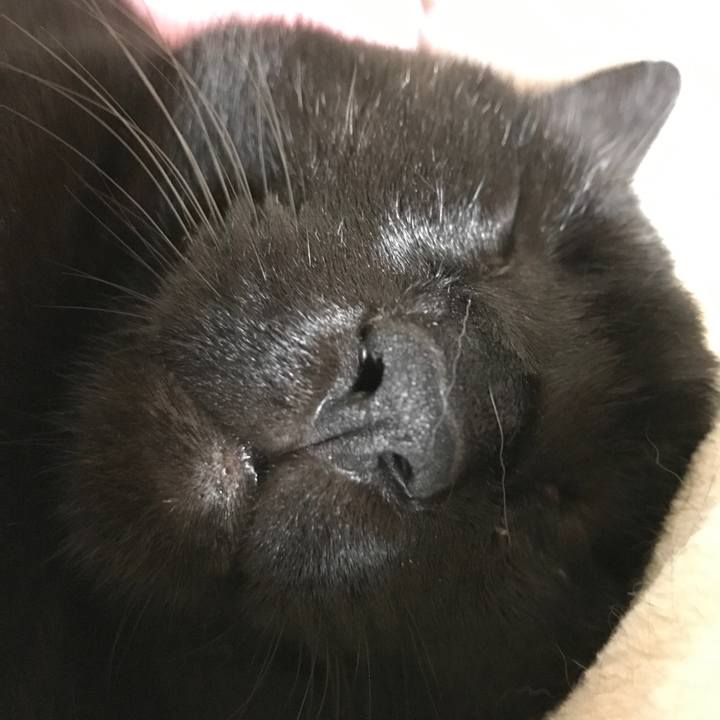 E938aa62 0ff2 4559 a1d4 a570295f0add