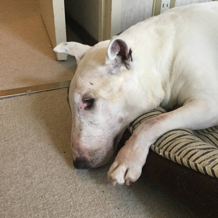 E9391ef8 b3f0 41a3 9d57 ca8066ab4073