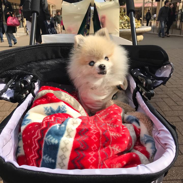 E93949b0 2941 47a7 835c ca93e96e10a8