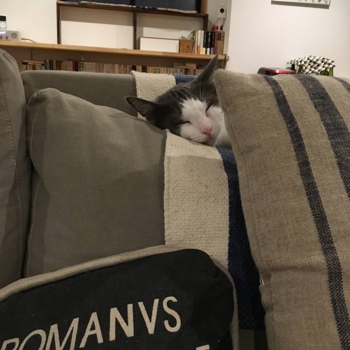 E939cdd0 6f70 4b74 97e3 0e76efc67856