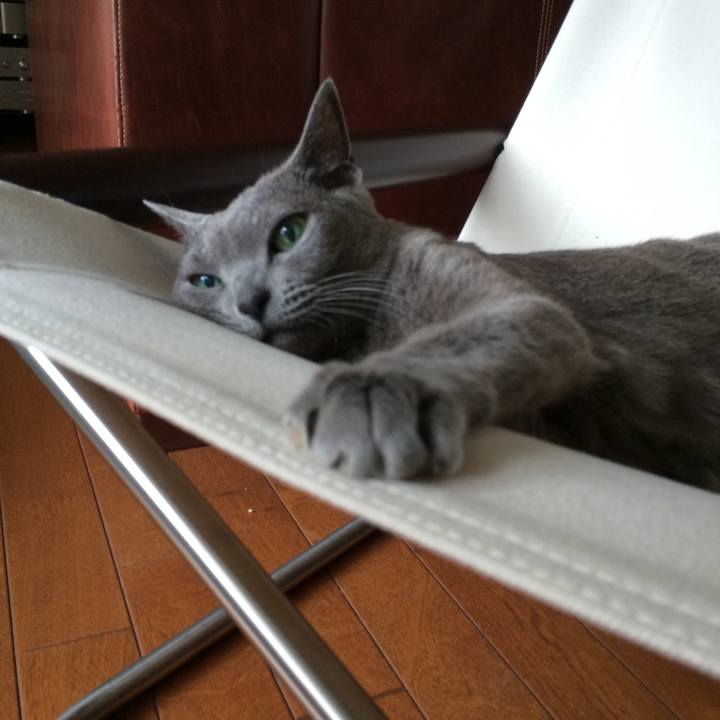 E93a00bf 9a2b 430a 9fdc 090c58fdd01b