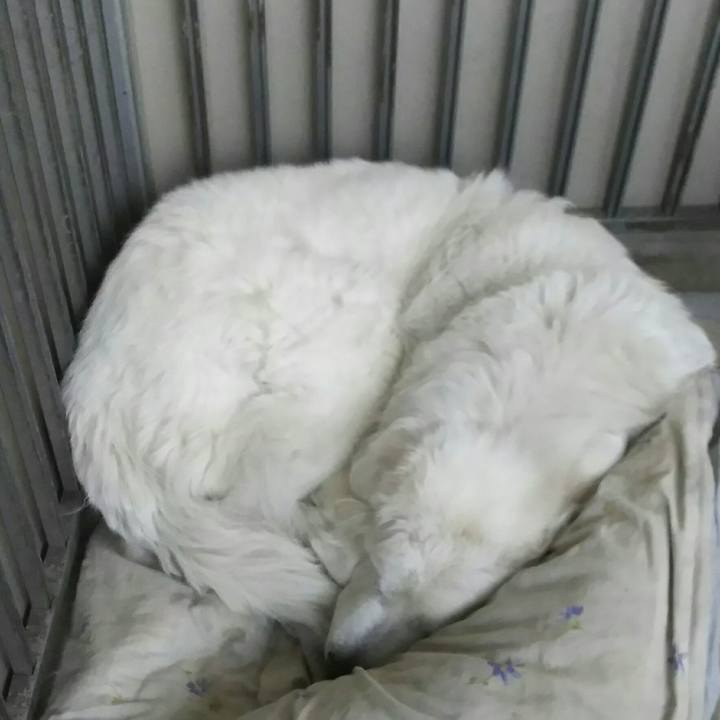 E93a7f02 f194 4c2a 8110 5feaaebcc51c