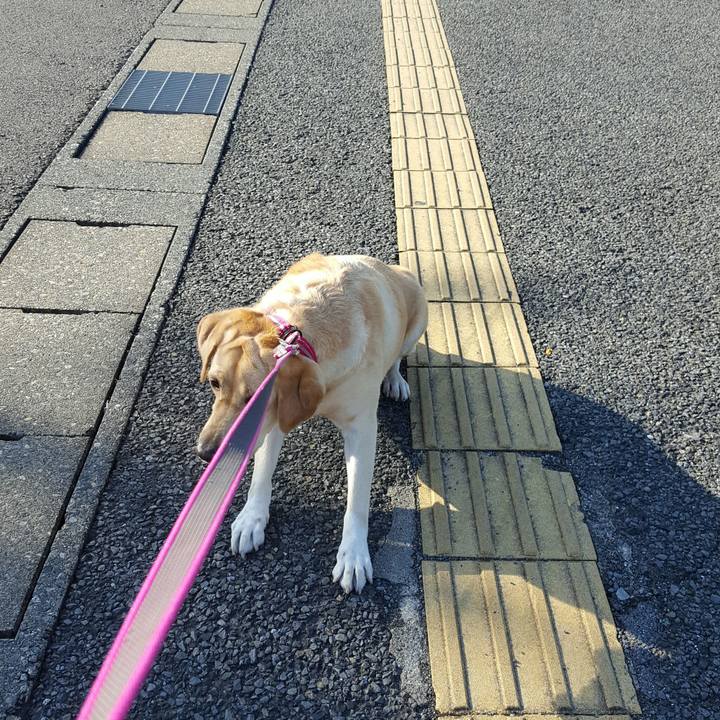 E93add6f c999 4a9a 85bb ff3ee82f308d