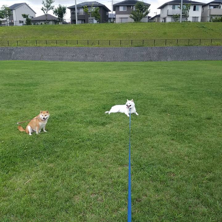 E93bd3d1 c631 4347 bf54 c5c2a3f4824c