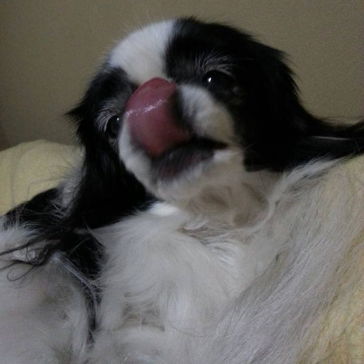 E93c66e8 1b5c 4664 90d3 eb7484a457e7