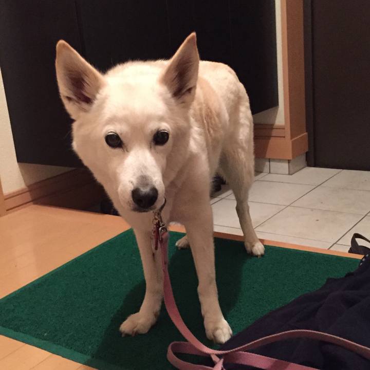 E93c8ec6 10a5 4b1d 8a0f cf7462c5f7db