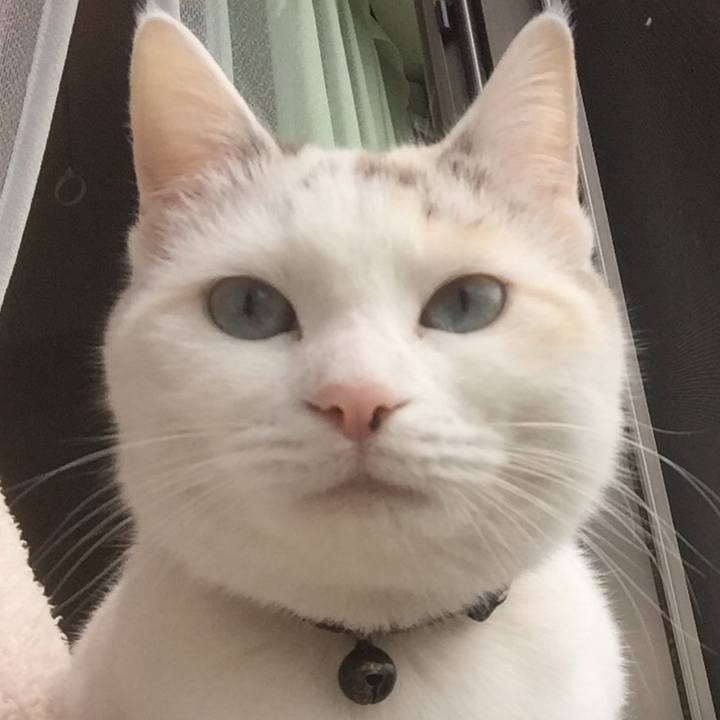 E93c95db dda4 42e5 97e6 de4fd2dbf48d