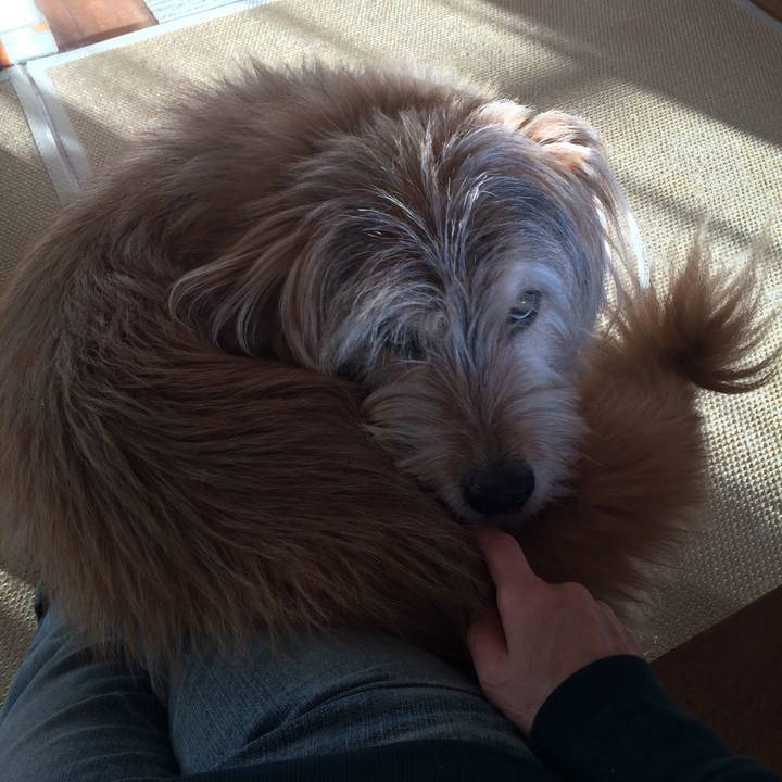 E93c9b43 1c65 4de6 b0dc f6b8c5c54179