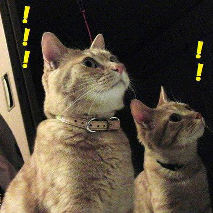 E93d2c2e 540e 4489 a65f bfca67953250