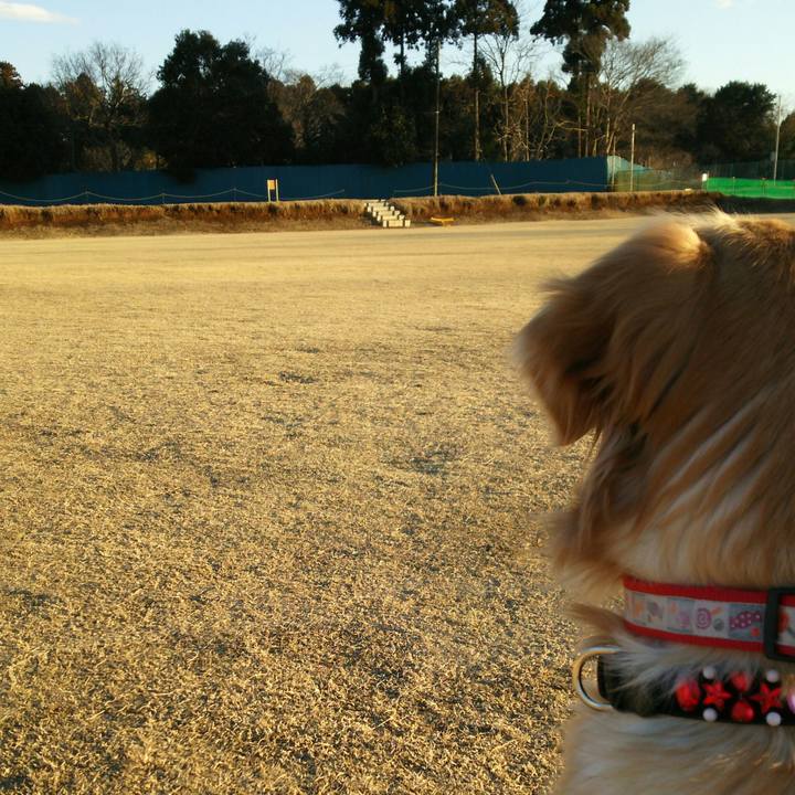 E93d7f27 9c1c 4865 86d2 068ed8d45cf4