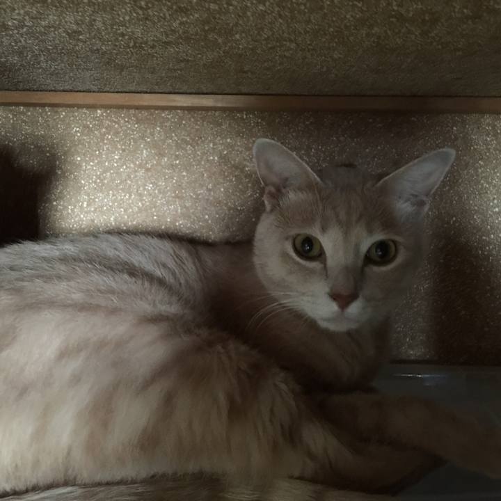 E93df03f e7d8 4b9b 9618 ef9e36afd137