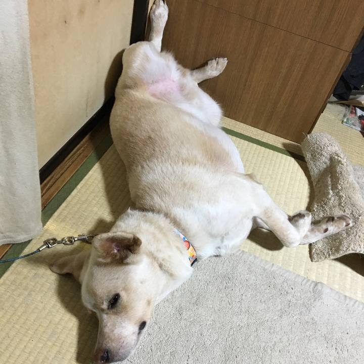 E93e21c5 28c9 4ab6 af14 987aea2275e0