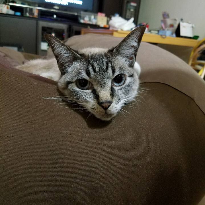 E93e2646 3881 4954 9777 cc52761f05c6