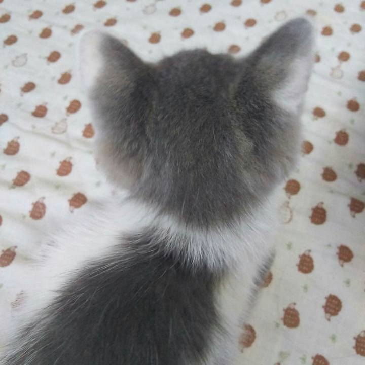 E93e52b4 df4e 4fcb a9bc ccbd0d9a932a