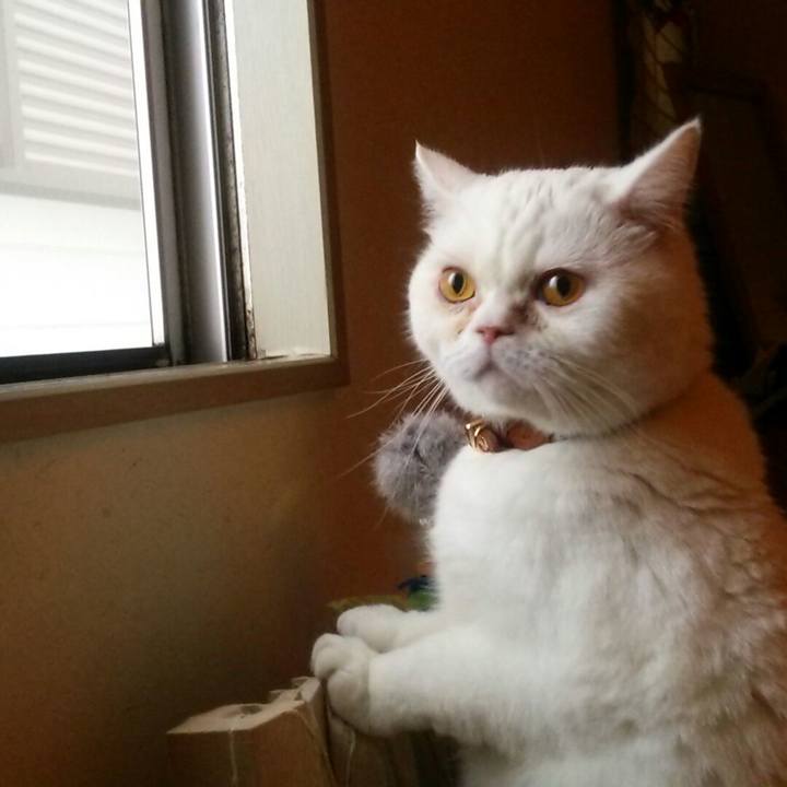 E93eac2f 66f6 4c6a a152 9305ec84faa2