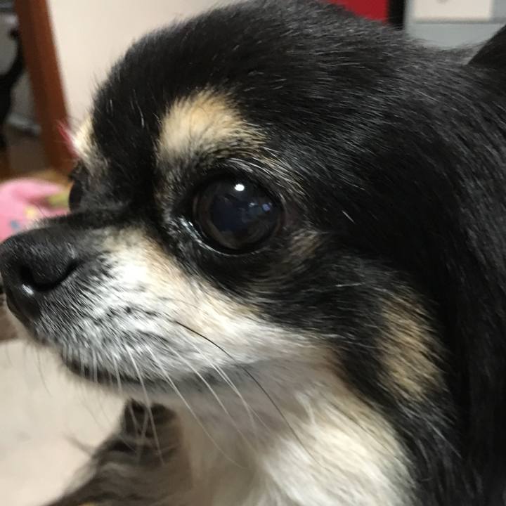 E93ed21e f9c6 4cb0 9370 bbc544b4dae0