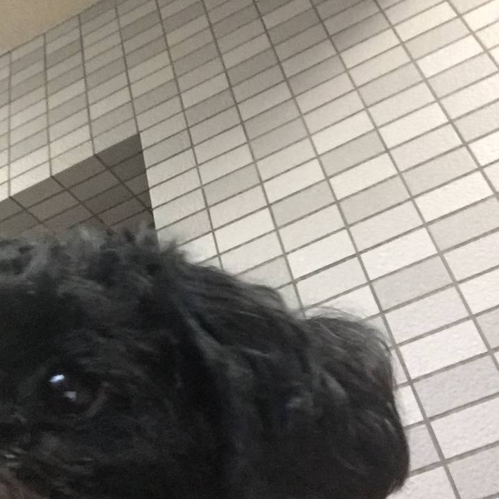 E93f37e1 b9c2 416f 840a bd3cefc618e4