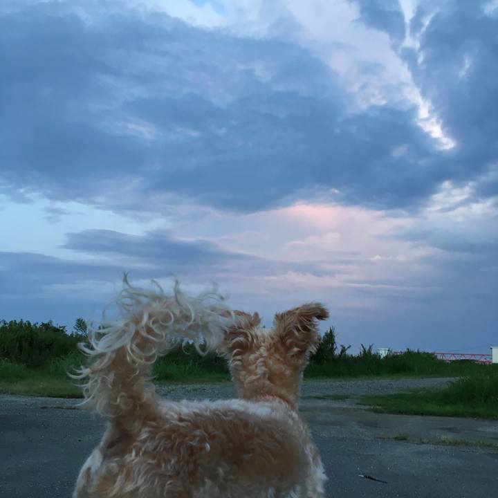 E93f6ec3 2f52 4d55 8d21 82a7b7d63a93