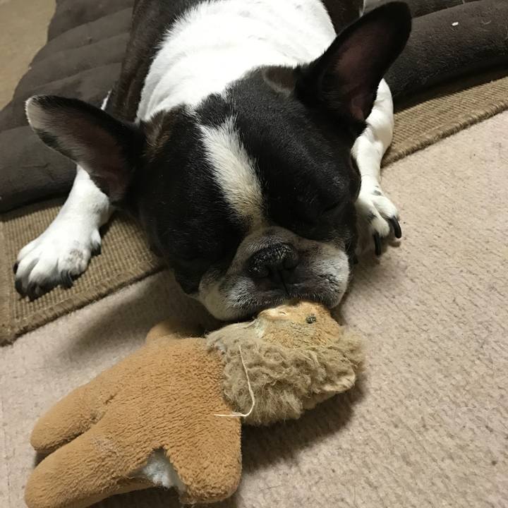 E93f8e7a 6187 46ec a165 0c7779325548