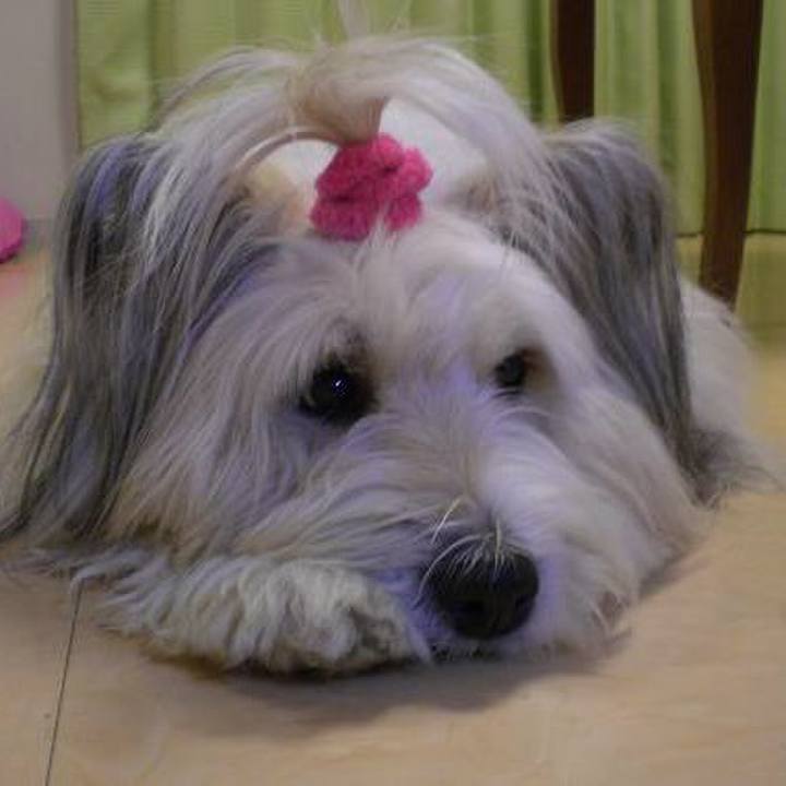 E93f9084 ba04 4f57 94d4 3ebc4a85660a