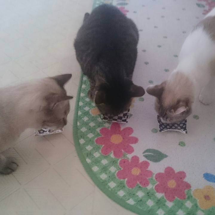 E93fbf71 fc4b 4181 995c 930a8c20255c