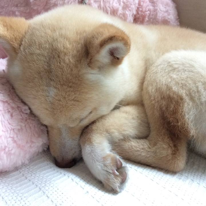 E93fe776 c841 4e76 90cf 0ec9f5dcbb15