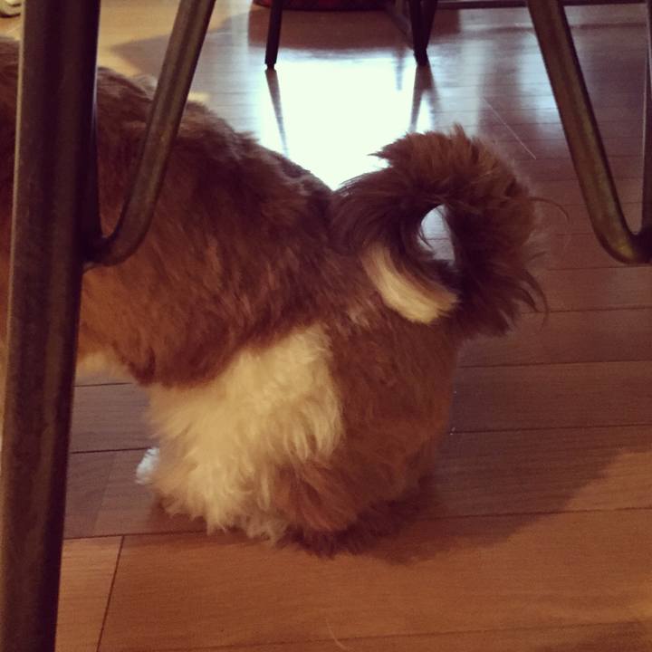 E9400177 cd1e 4ed0 b4e3 22b05c17d5ed