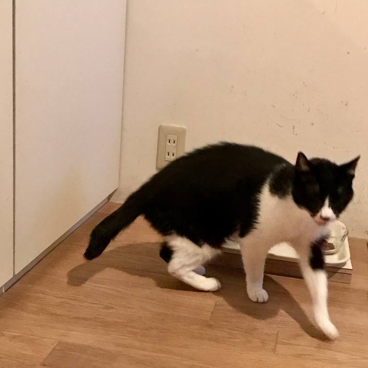 E9404918 0a82 4362 927c 345e7562d37e