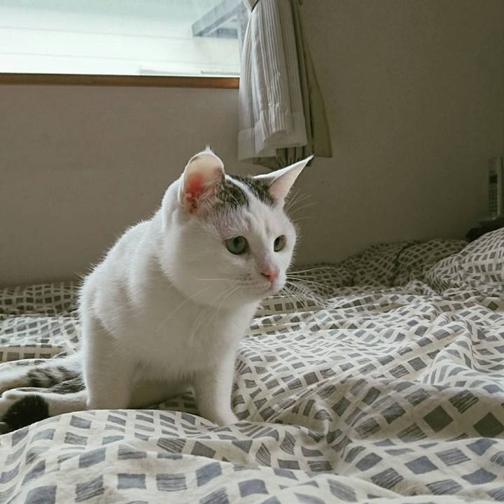 E940ade5 eba7 461f 9346 b5d0bdc38f98