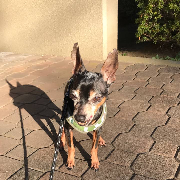 E940b094 083f 4e29 ba6d 46910a0616b6