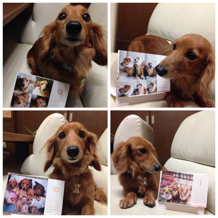 E9413dde ca5a 4111 9033 3da3b2f59e91