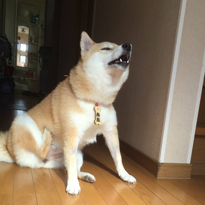 E9414aad 8189 4f18 8aee daf982529e80