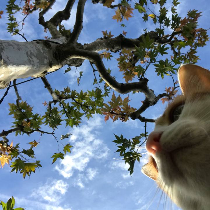 E9417f62 bbe6 4cc3 aecb 2daaf1eef726