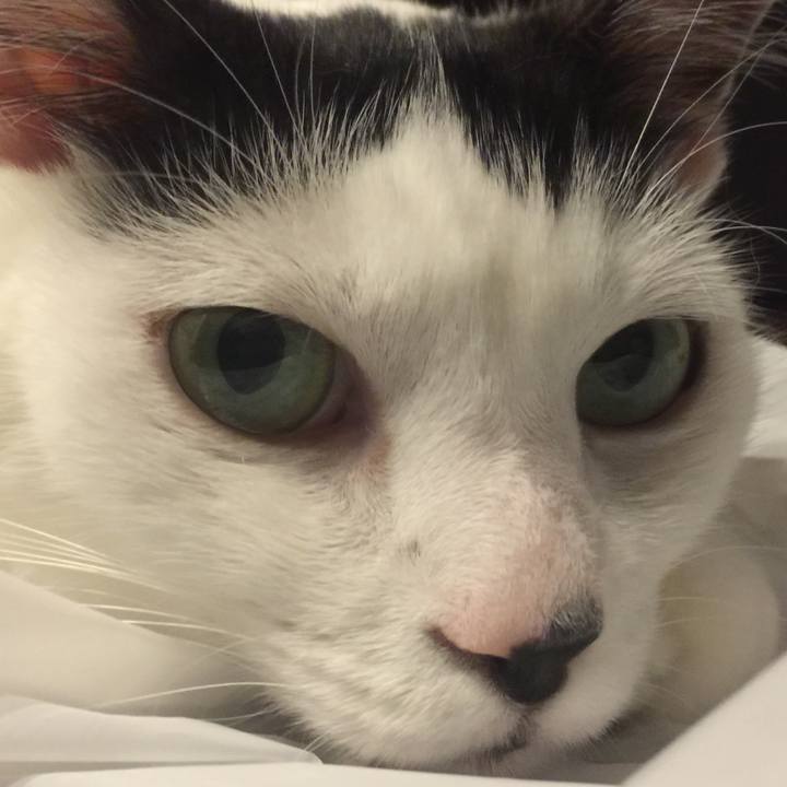 E9419f39 3212 4736 8ca5 99c41769fb5e