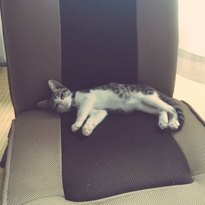 E941ce04 f411 452e 9281 050ee3c3841c